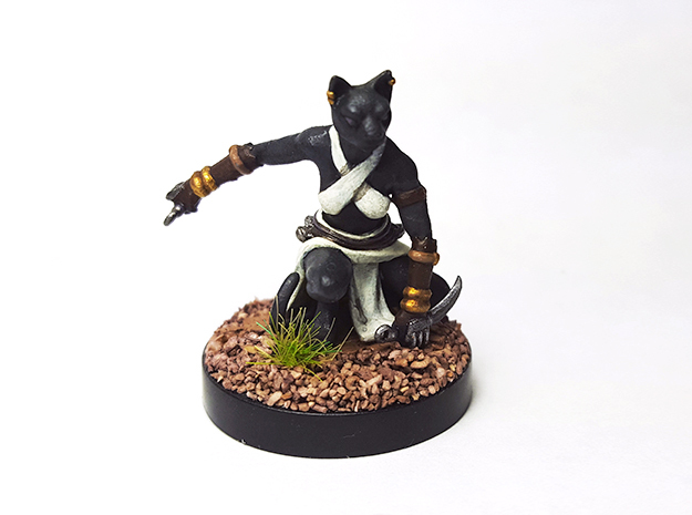 Tabaxi Rogue (Female) in Smooth Fine Detail Plastic