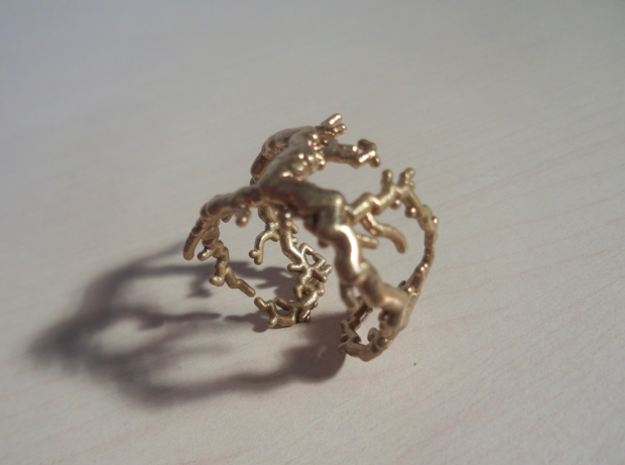 Root ring (US sizes 10 – 13) in Natural Bronze: 13 / 69