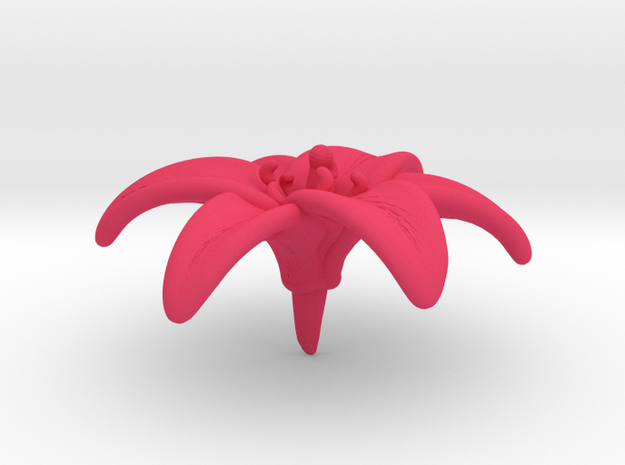 Lily Blossom (Medium) in Pink Processed Versatile Plastic