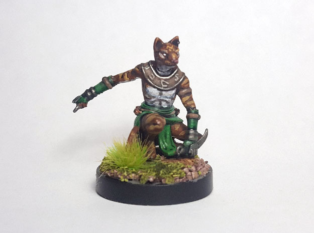 Tabaxi Rogue (Male) in Smooth Fine Detail Plastic