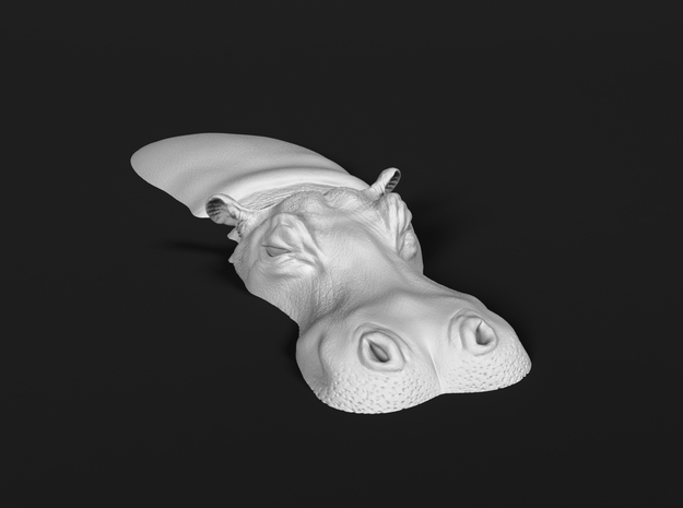 Hippopotamus 1:64 Lying in Water 6 in Tan Fine Detail Plastic