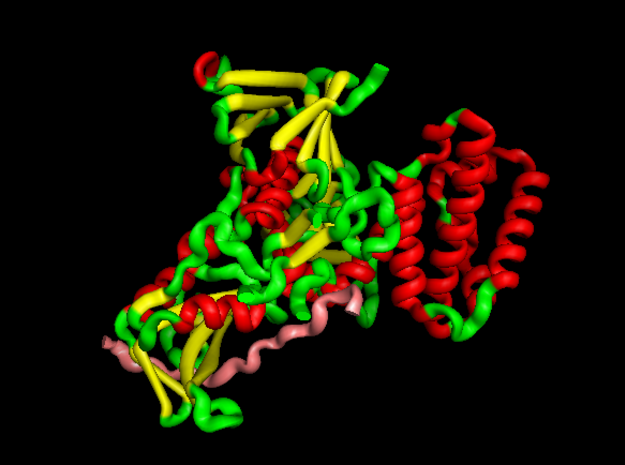TYK2 with IFNAR1 peptide (pdb id 4P06) in White Natural Versatile Plastic