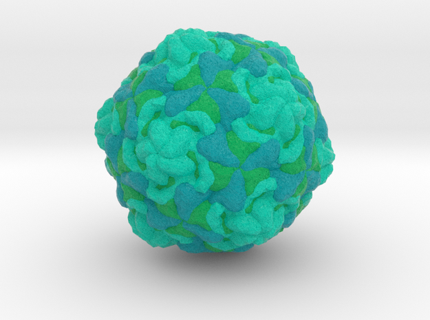 Echovirus in Full Color Sandstone