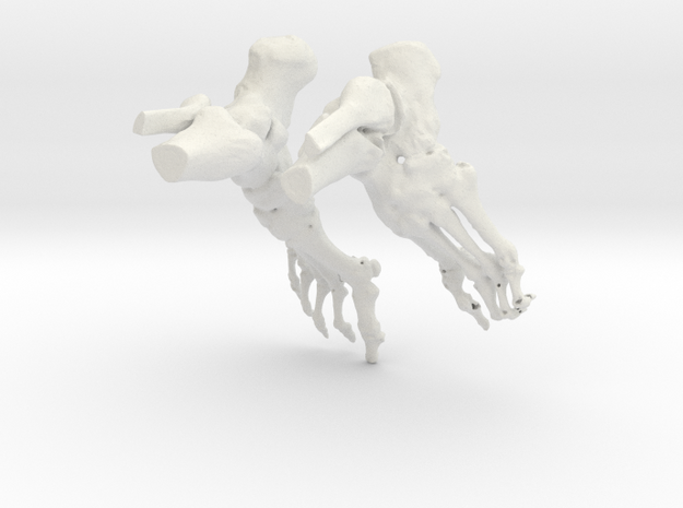 Bruce Ankle CT scan model in White Natural Versatile Plastic