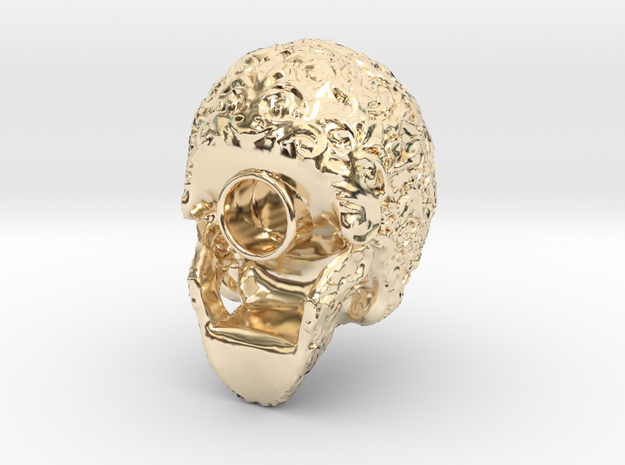 Modell-2-Scull an 80330 in 14k Gold Plated Brass