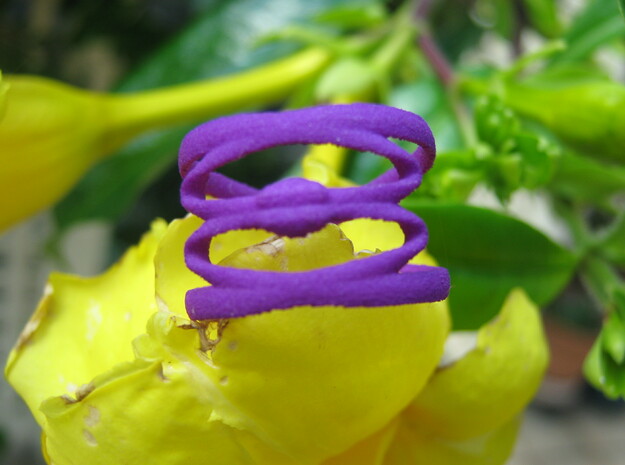 Conchoid 3 Ring in Purple Processed Versatile Plastic