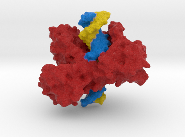 Topoisomerase I with DNA in Full Color Sandstone