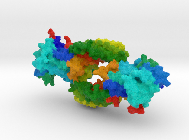 β Arrestin 1 Protein in Full Color Sandstone
