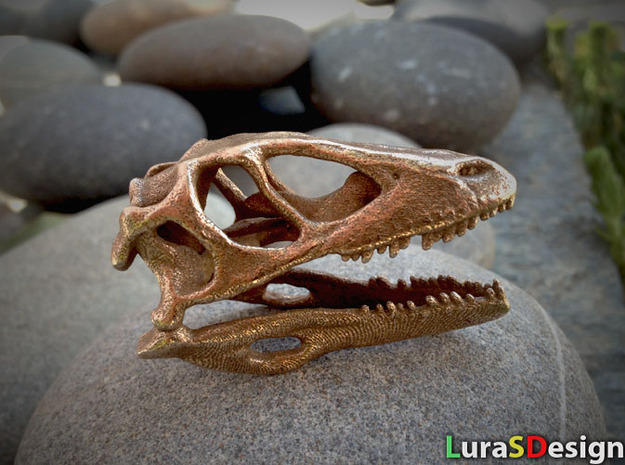 Mini Raptor Dinosaur Skull in White Natural Versatile Plastic