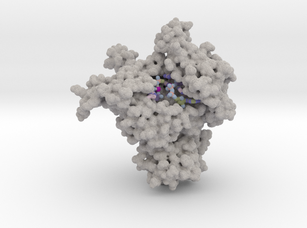Glutamine Synthetase: Monomer with Active Site in Full Color Sandstone