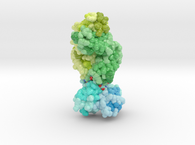 Human Antibody Fab Targeting fHbp (Volumetric) in Glossy Full Color Sandstone: Small