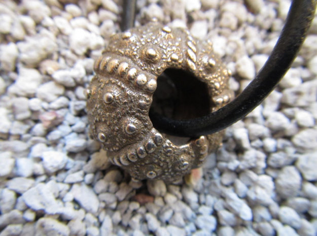 Sea Urchin 11 in Polished Bronzed Silver Steel