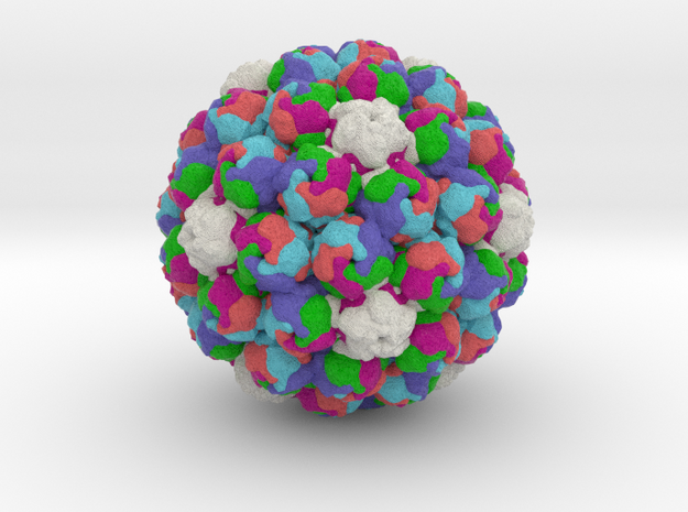 Avian Polyomavirus in Full Color Sandstone
