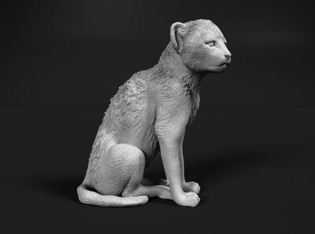 Cheetah 1:6 Sitting Cub in White Natural Versatile Plastic