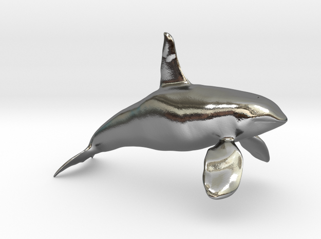 Orca-male-solid in Polished Silver: 28mm