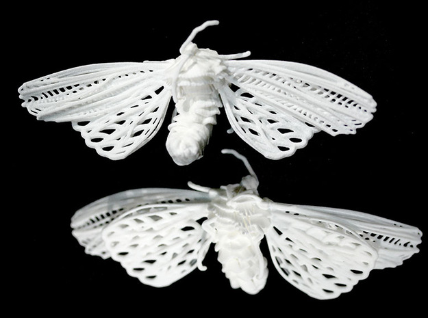 Moth Suffering Large in White Natural Versatile Plastic
