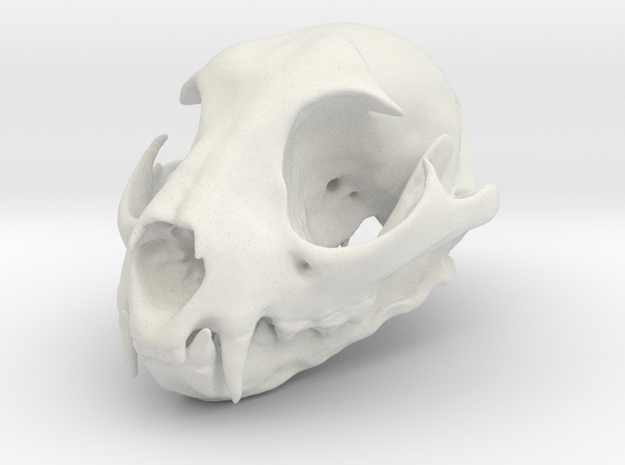 Bobcat Skull - Closed Jaw Ornament  in White Natural Versatile Plastic