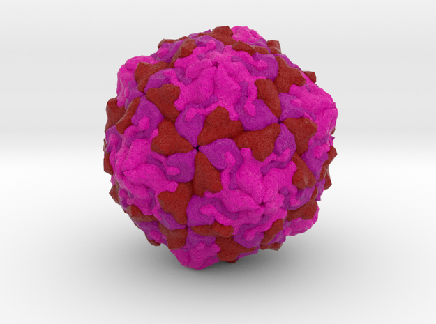 Picornavirus in Natural Full Color Sandstone