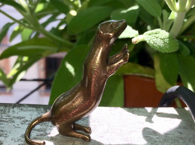 The curious weasel in Polished Bronze Steel