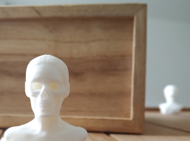 Skull Head in White Natural Versatile Plastic