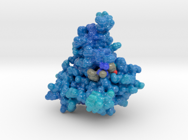 DNA_gyrase_surf_v1 in Glossy Full Color Sandstone: Medium