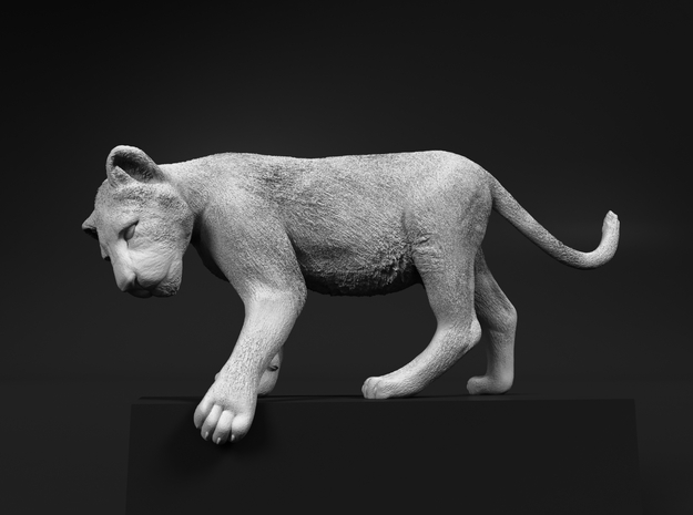 Lion 1:20 Cub reaching for something in Tan Fine Detail Plastic