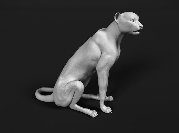 Cheetah 1:160 Sitting Male in Tan Fine Detail Plastic
