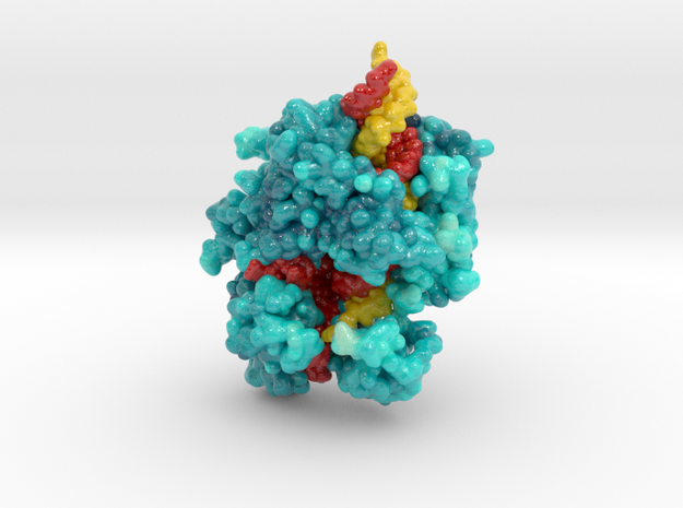 CRISPR-Cas13a in Complex with Guide and Target RNA in Glossy Full Color Sandstone: Extra Small