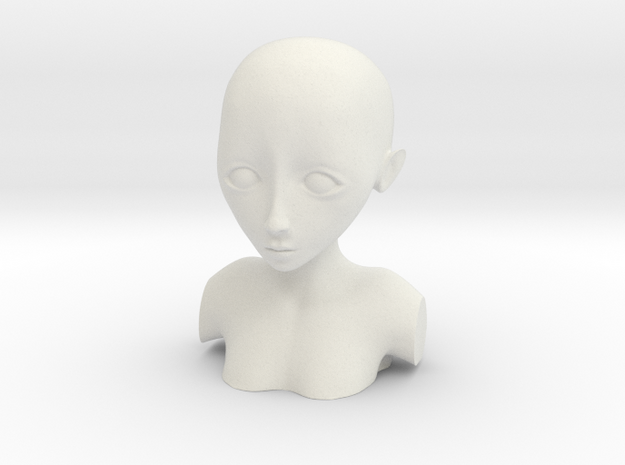 bust test (surface mesh) in White Natural Versatile Plastic