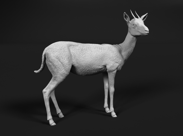 Thomson's Gazelle 1:12 Standing Female in White Natural Versatile Plastic