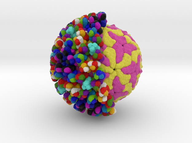 Bluetongue Virus in Natural Full Color Sandstone