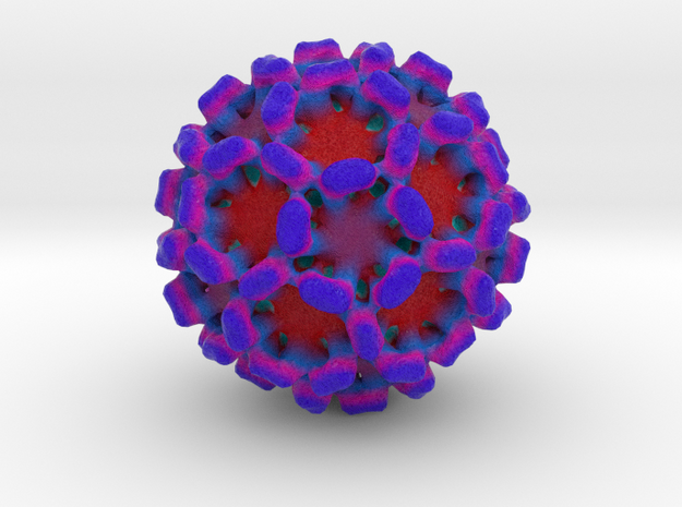 Sapovirus in Natural Full Color Sandstone