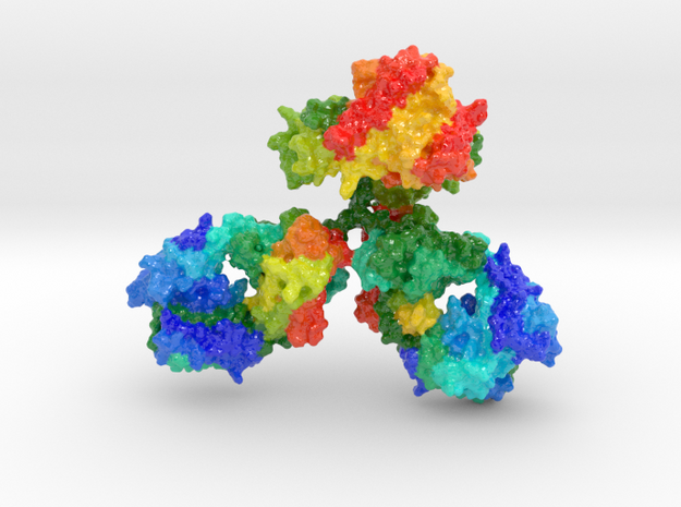 Immunoglobulin Antibody (Large) in Glossy Full Color Sandstone
