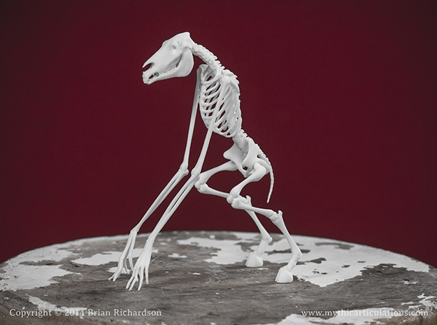 Tikbalang Skeleton in White Natural Versatile Plastic