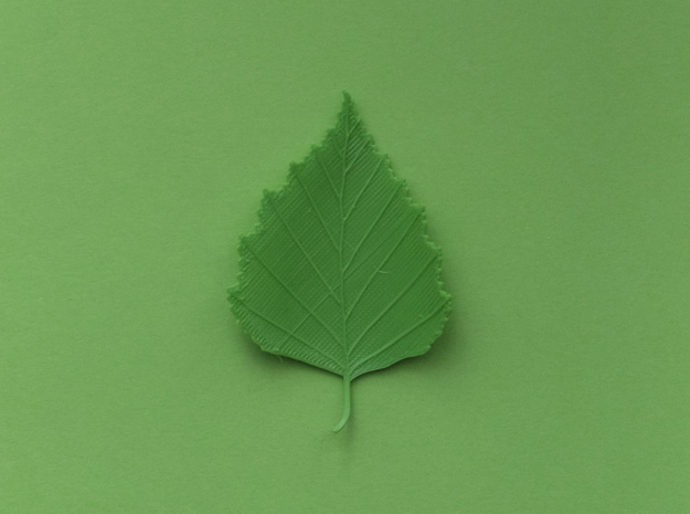Birch tree leaf in Green Processed Versatile Plastic