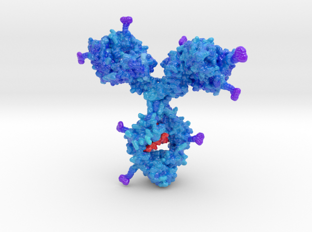 Antibody Drug Conjugate in Glossy Full Color Sandstone: Large