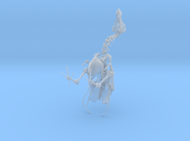 DODO Skeleton