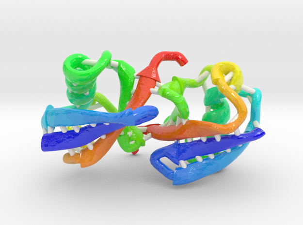 Ubiquitin C (Large) in Glossy Full Color Sandstone