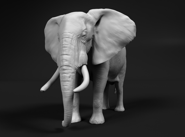 African Bush Elephant 1:16 Standing Male in White Natural Versatile Plastic
