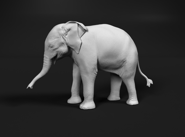 Indian Elephant 1:16 Standing Female Calf in White Natural Versatile Plastic