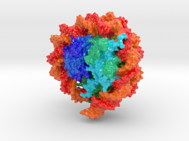 Nucleosome - 3AFA in Glossy Full Color Sandstone