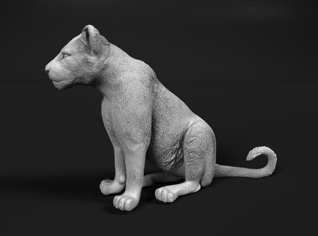 Lion 1:6 Sitting Cub in White Natural Versatile Plastic