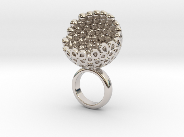 Coconto 1 in Rhodium Plated Brass