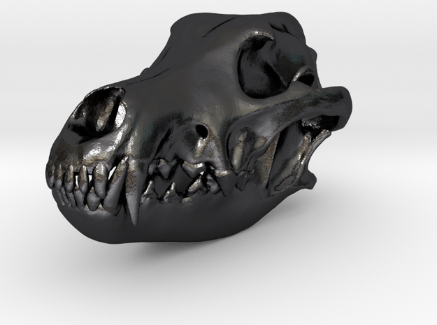 wolfskullbasefinal2.4 in Polished and Bronzed Black Steel