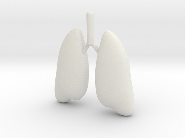 Lung in White Natural Versatile Plastic