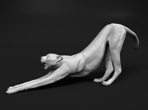 Cheetah 1:35 Stretching Male in White Natural Versatile Plastic