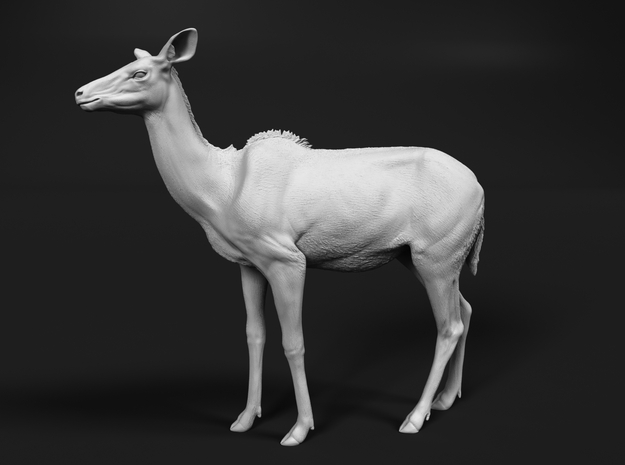 Greater Kudu 1:35 Chewing Female in White Natural Versatile Plastic