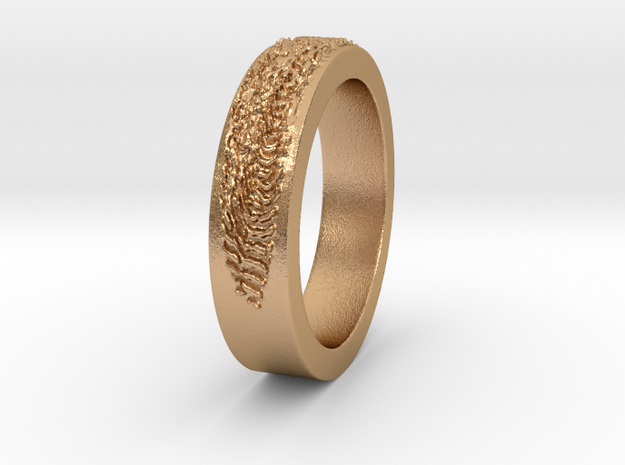 IMPRINT 5 mendelheit Ring Size 8 in Natural Bronze