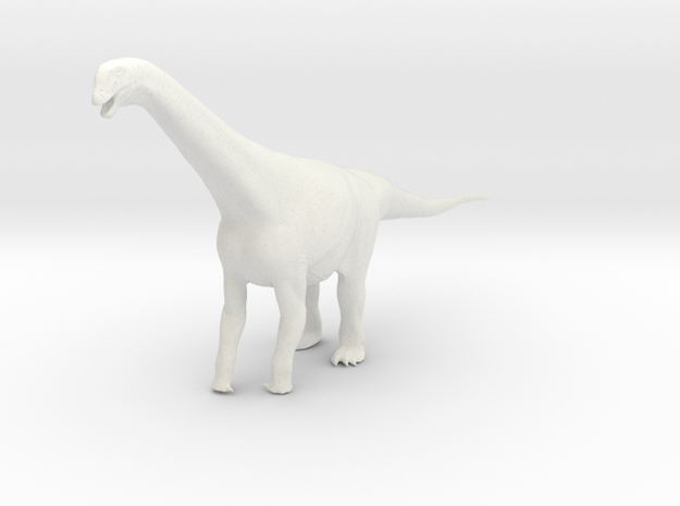 Camarasaurus in White Natural Versatile Plastic