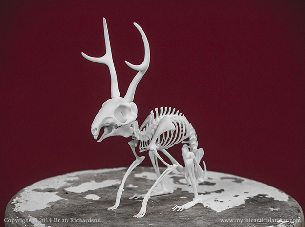 Jackalope Skeleton in White Natural Versatile Plastic